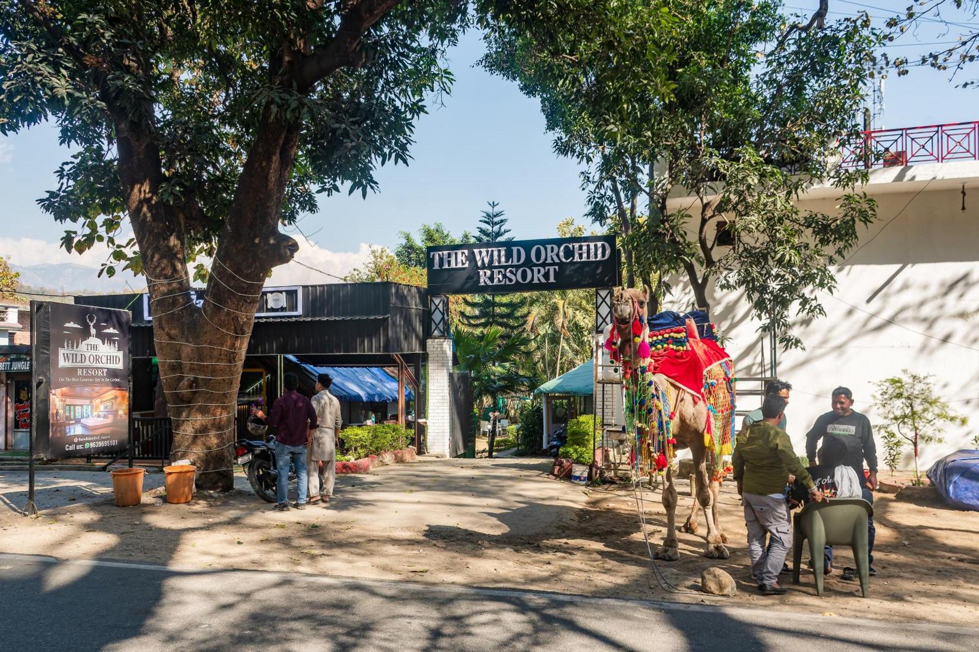 The Wild Orchid Resort Corbett Rámnagar Kültér fotó